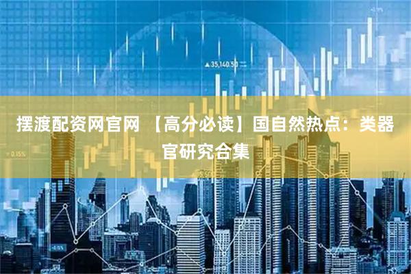 摆渡配资网官网 【高分必读】国自然热点:类器官研究合集