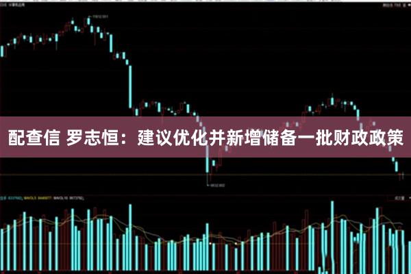 配查信 罗志恒:建议优化并新增储备一批财政政策