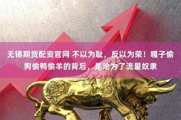 无锡期货配资官网 不以为耻,反以为荣!嘎子偷狗偷鸭偷羊的背后,是沦为了流量奴隶